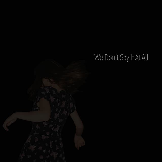 We Don't Say It at All artwork