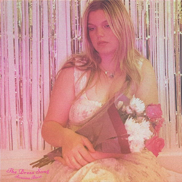 The Dress Song artwork