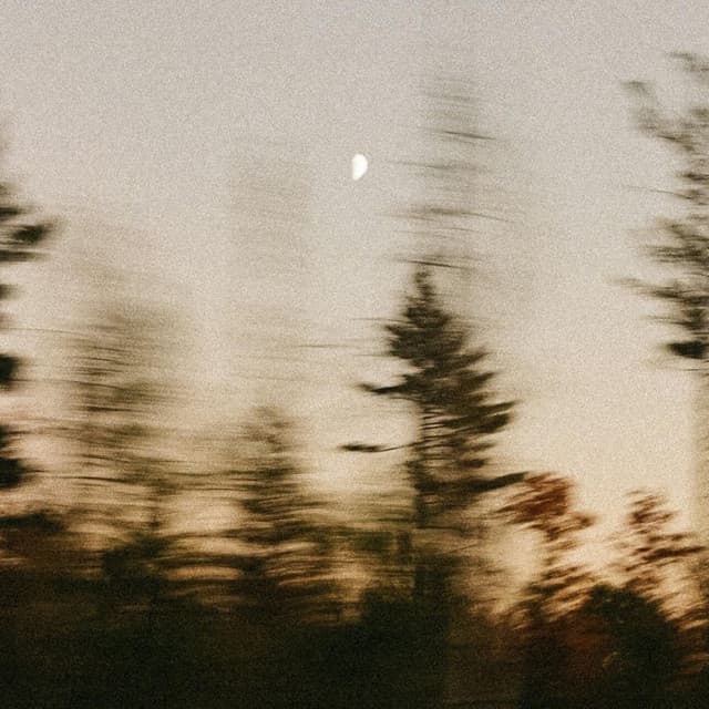 where you are, ill go artwork