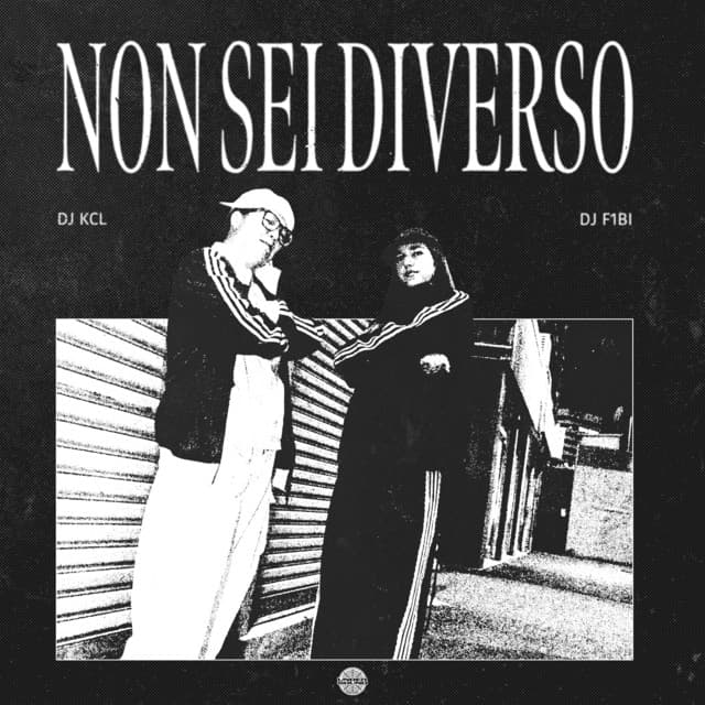 Non Sei Diverso artwork